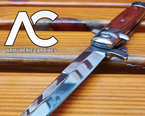 Couteau pliant tactique - Couteau de poche chasse et/ou Camping