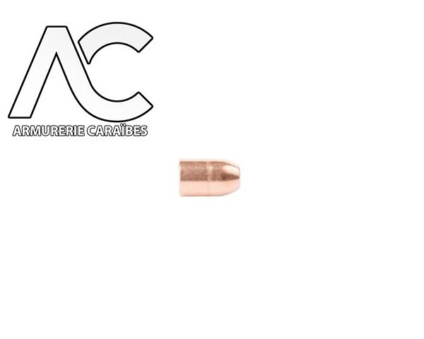 CAM PRO PROJECTILES PLOMB CUIVRES FCP 500 RN PF 400gr diam .500 boite de 250