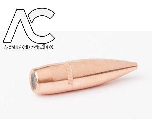 CAM PRO PROJECTILES FMJ 308 BT 147gr diam .308 boite de 500