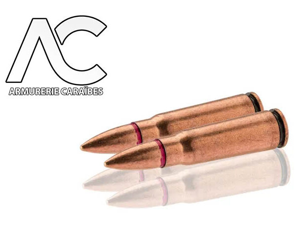 Munition STV Scorpio 7.62x39 CIP 124 Gr (X500)