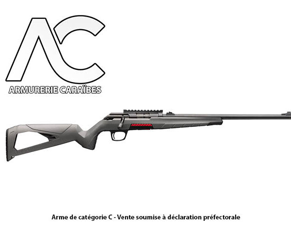 CARABINE WINCHESTER XPERT COMPO BLACK GREY THR 46CM 22LR