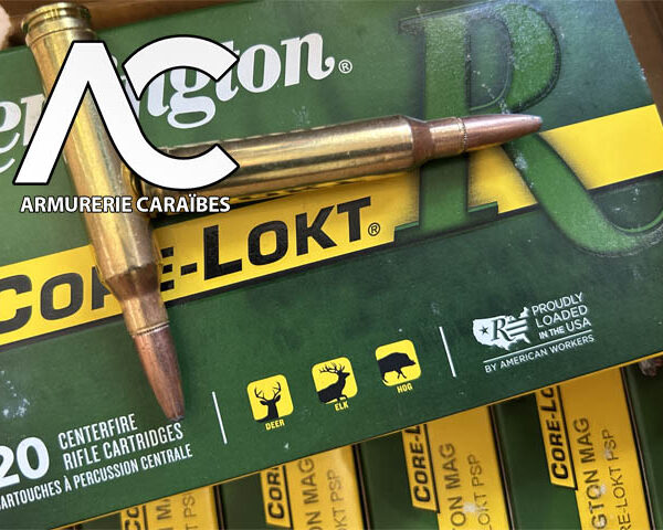 7mm REMINGTON MAGNUM MUNITIONS Pointed soft point 150Gr REMINGTON