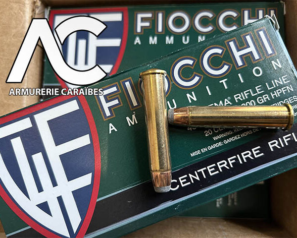 45-70 Government 300 gr Hollow Point Flat Nose 20 cartouches FIOCCHI