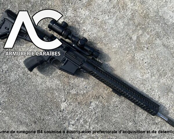 STAG ARMS 3GUN ELITE - AR15 Compétition occasion excellent état - Canon fluté de 18 pouces